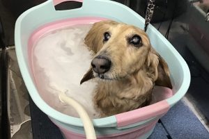 2月のお友達☆