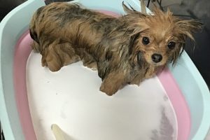2月のお友達☆