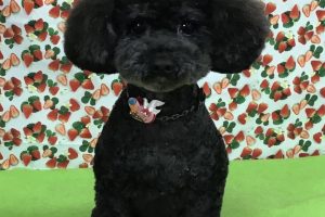 2月のお友達☆