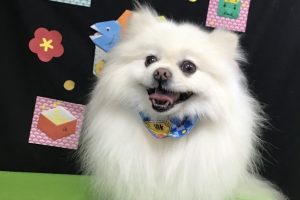 2月のお友達☆