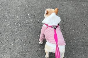お泊り中☆