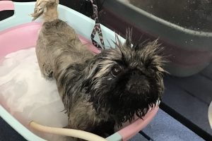 2月のお友達☆