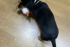 お泊り中☆