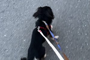 お泊り中☆
