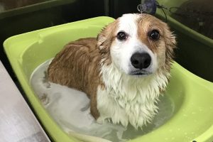 2月のお友達☆