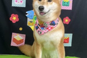2月のお友達☆