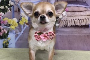 3月のお友達☆