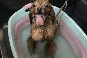 3月のお友達☆