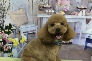 3月のお友達☆