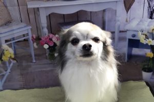 3月のお友達☆