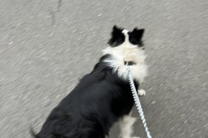 お泊り☆