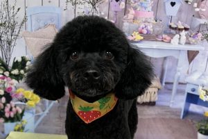 3月のお友達☆