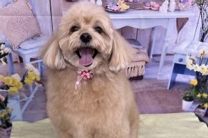 3月のお友達☆