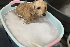3月のお友達☆