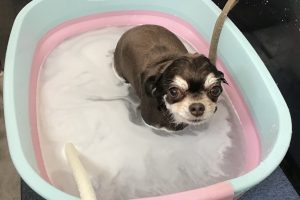 3月のお友達☆