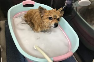 3月のお友達☆