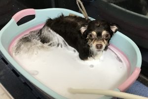 3月のお友達☆
