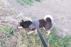 お泊り中☆