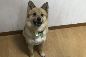 3月のお友達☆お泊り☆