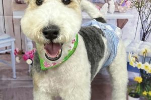 3月のお友達☆お泊り☆