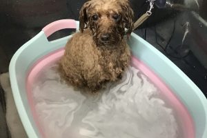 3月のお友達☆