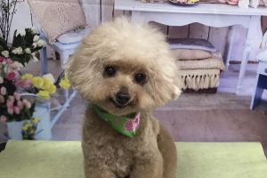 3月のお友達☆