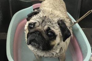3月のお友達☆