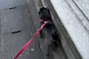 お泊り中☆