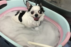 3月のお友達☆