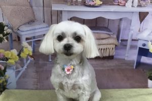 3月のお友達☆