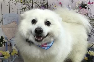 3月のお友達☆