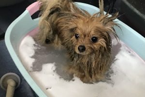 3月のお友達☆