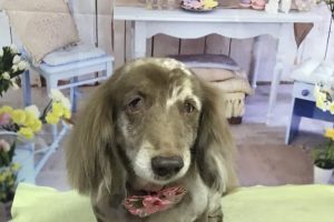 3月のお友達☆