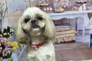 3月のお友達☆