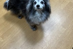 お泊り☆