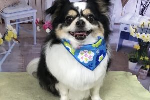 3月のお友達☆