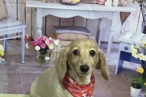 3月のお友達☆