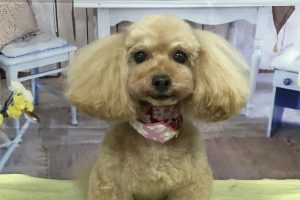 3月のお友達☆