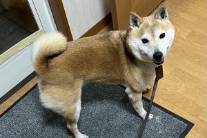 お泊り中☆