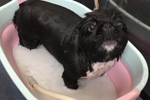 3月のお友達☆
