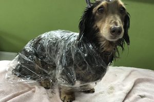 3月のお友達☆