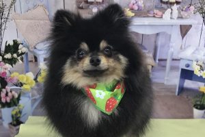 2月のお友達☆