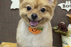 10月のお友達☆