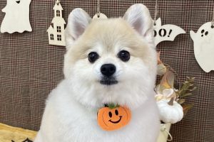 10月のお友達☆