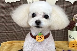 10月のお友達☆