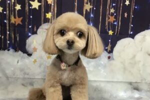 11月のお友達☆