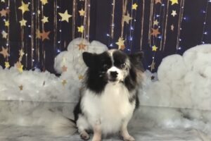 11月のお友達☆