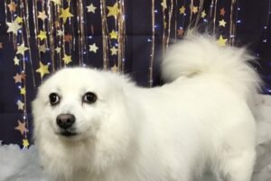 11月のお友達☆