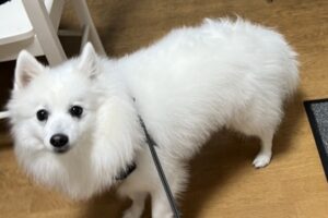 お泊り☆