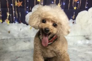 11月のお友達☆